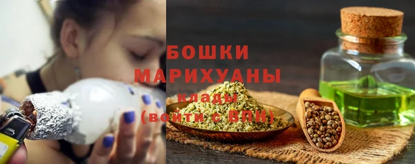 гашиш Богданович