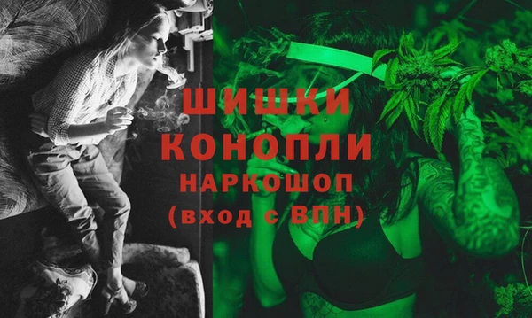 дурь Мегион