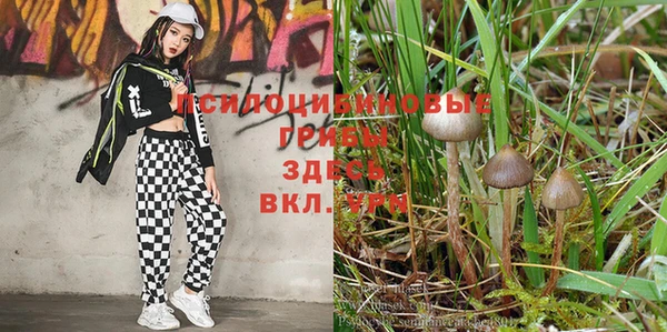 мефедрон мука Медвежьегорск
