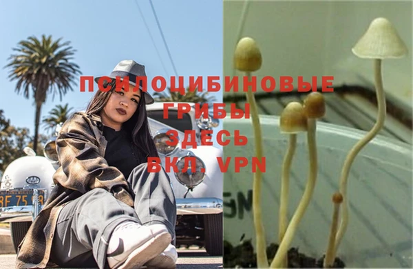 mix Медногорск