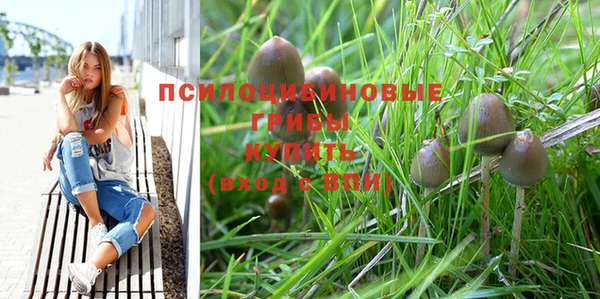 дмт Богородицк