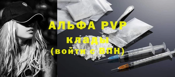 СК Михайлов