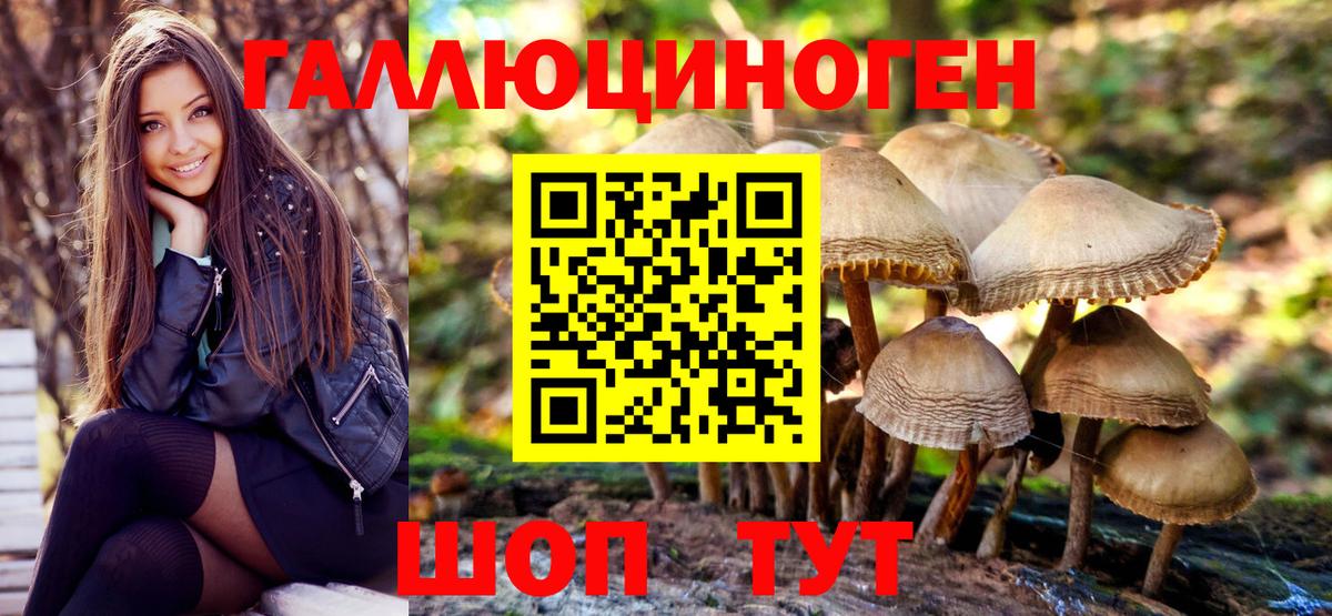 Псилоцибиновые грибы Psilocybe Усинск
