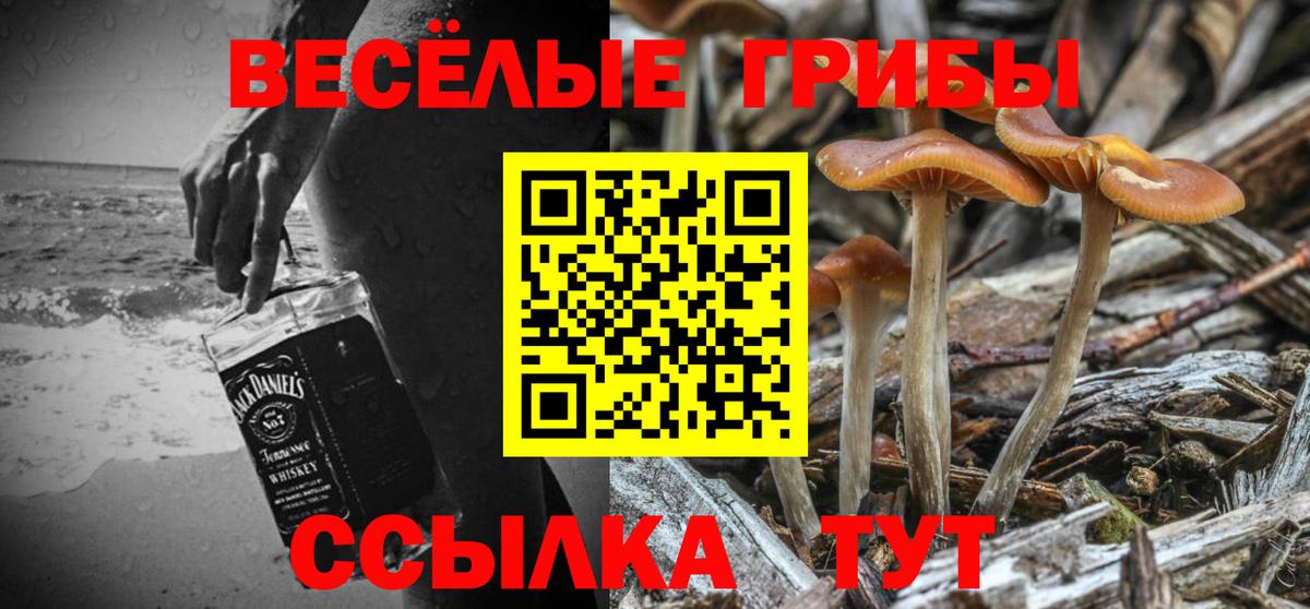 Псилоцибиновые грибы ЛСД Усинск